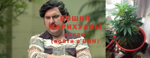 дмт Козловка